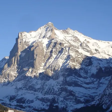 Spinne Appartement Grindelwald