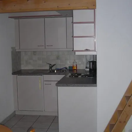 Apartment Spinne Grindelwald