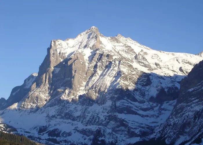 Spinne Appartement Grindelwald